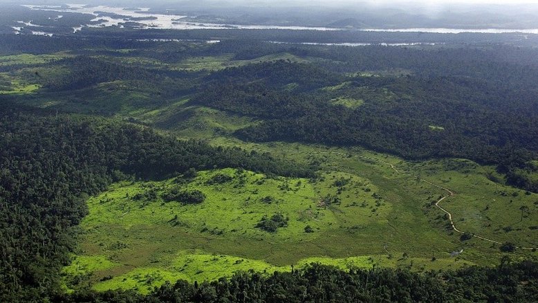 Ibama autoriza contratação de brigadas federais para combater incêndios