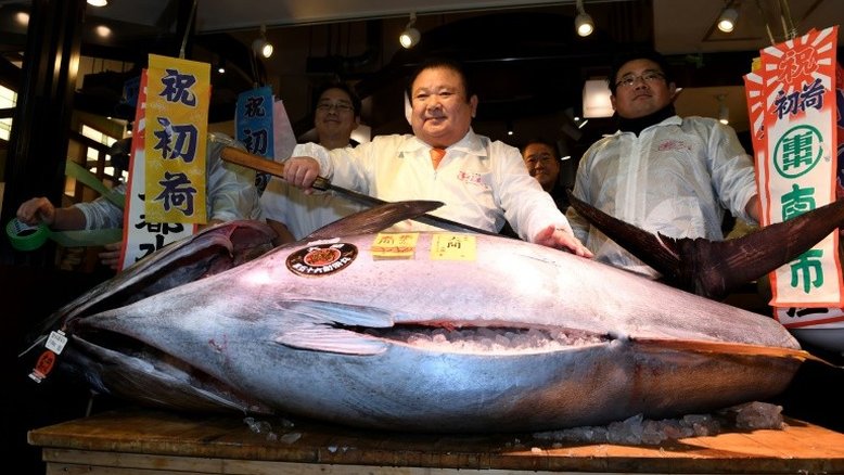 Atum vermelho supera US$ 600 mil no primeiro leilão do ano no Japão