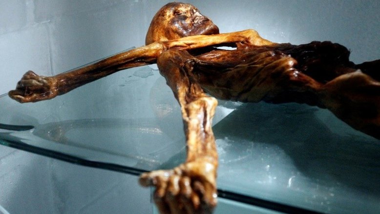 Homem das neves Otzi comeu bacon antes de morrer