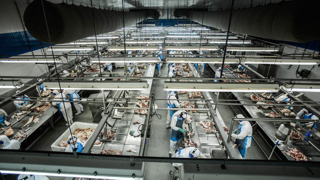 A politicagem que prejudica a carne brasileira