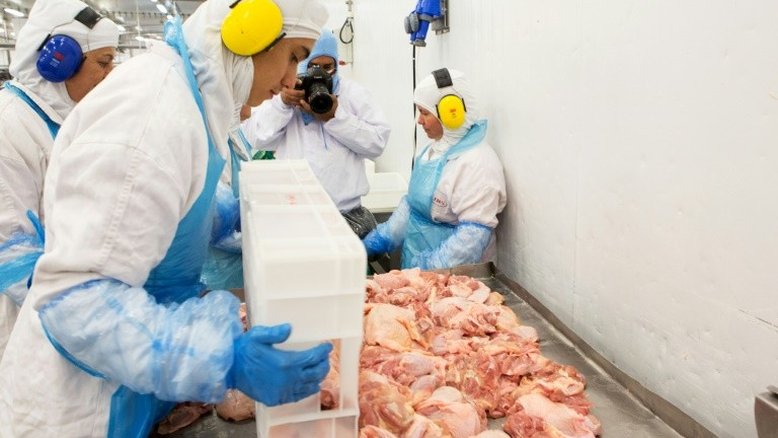 OMS: Não há evidência de que alimentos ou cadeia de alimentos transmitam covid-19