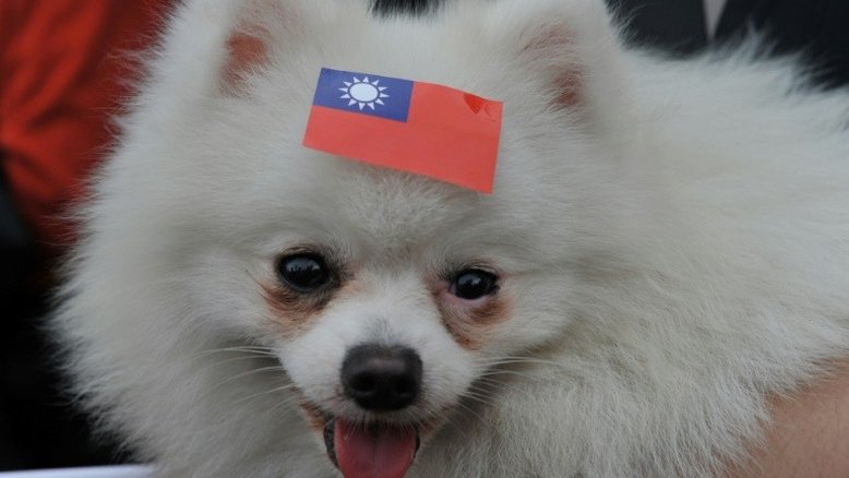 Taiwan proíbe consumo de carne de cachorro e de gato