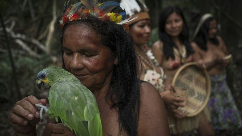Indígenas latino-americanos denunciam ofensiva conservadora contra seus direitos