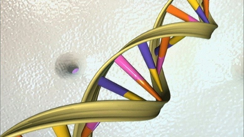 Cientistas encontram DNA pré-histórico sem ossos ou fósseis