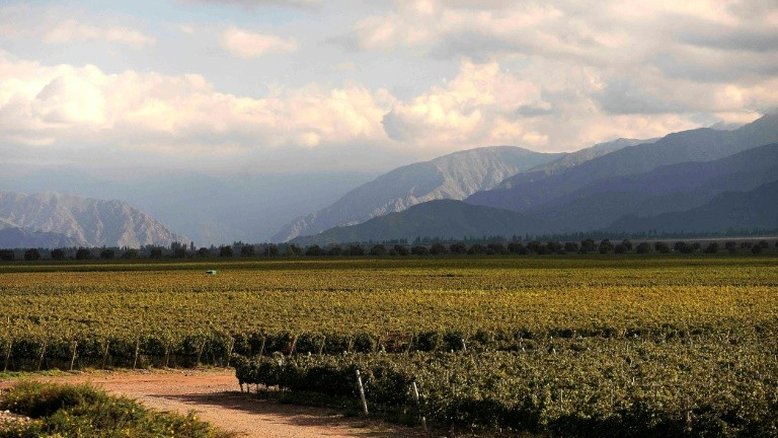 Mendoza é a região vitivinícola mais ameaçada pela natureza do mundo