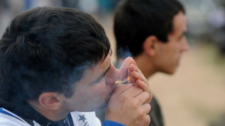 Uruguai começa a cadastrar consumidores de maconha legalizada