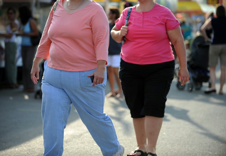 Em 2015, 107,7 milhões de crianças e 603,7 milhões de adultos sofriam de obesidade no mundo, segundo os autores do trabalho publicado na revista médica americana New England Journal of Medicine e apresentado em uma conferência em Estocolmo - AFP/Arquivos