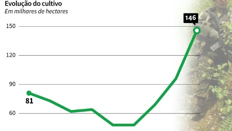 Cultivos de folha de coca na Colômbia subiram 52% em 2016 (ONUDC)