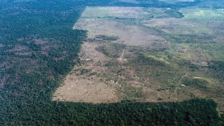 Amazônia perde proteção e ambientalistas acusam Temer e agronegócio