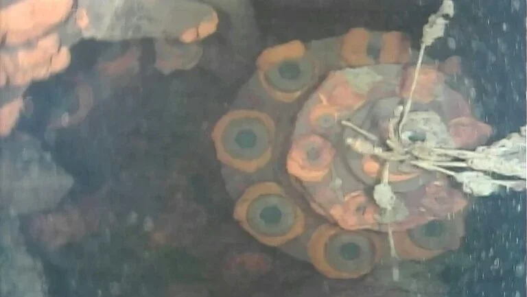 Robô teledirigido é enviado ao interior de um reator danificado de Fukushima