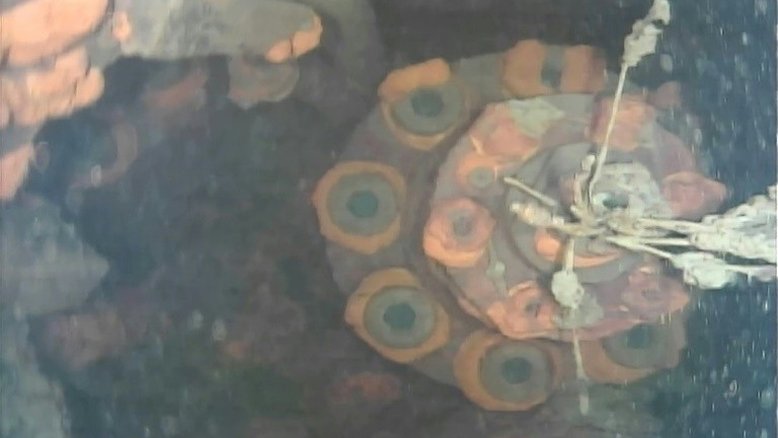 Robô teledirigido é enviado ao interior de um reator danificado de Fukushima