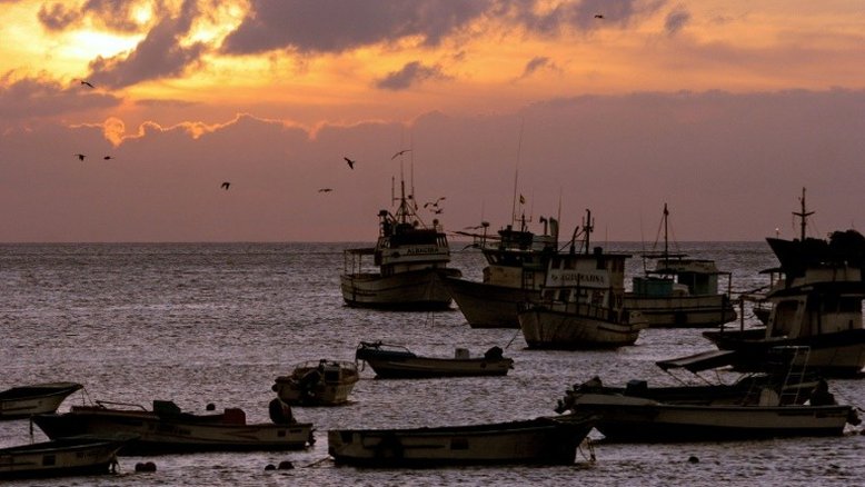 Pesqueiro chinês com fauna marinha vulnerável é interceptado em Galápagos