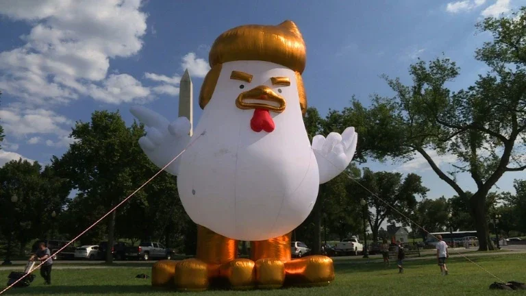 Galinha com topete de Trump