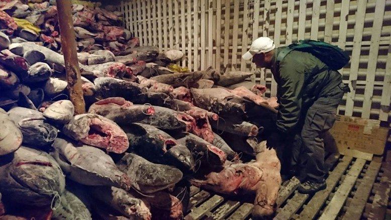 Tripulação de barco chinês retido em Galápagos é condenada à prisão