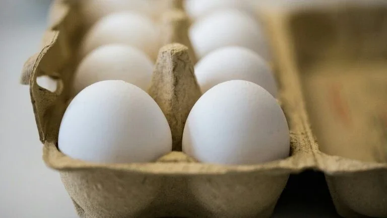 UE: 15 países europeus, Suíça e Hong Kong foram afetados por ovos contaminados