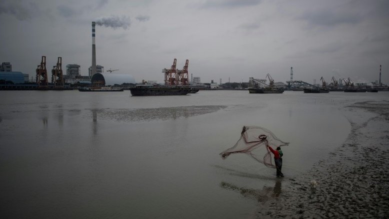 'Orçamento' de carbono pode ser maior do que se pensava (estudo)