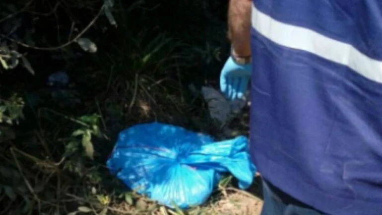 Divulgação/Polícia Civil