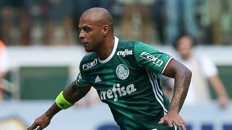 Divulgação/Palmeiras