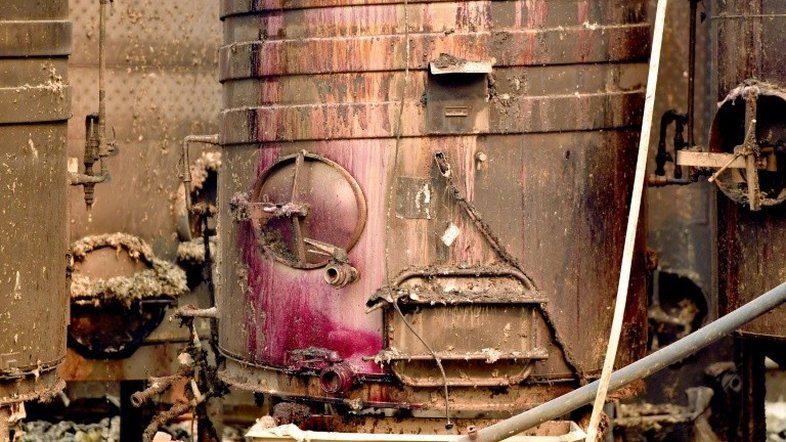 Indústria do vinho sofre com incêndios na Califórnia
