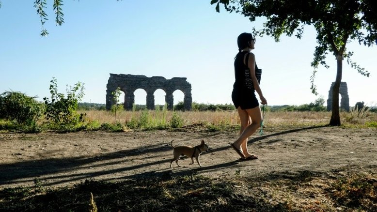 Italiana consegue dois dias de folga para tratar cachorro