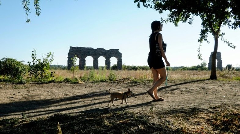 Italiana consegue dois dias de folga para tratar cachorro
