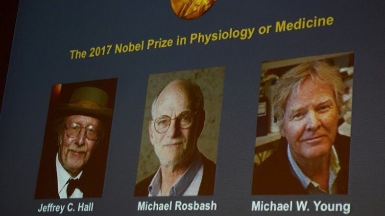 Trio vence o Nobel de Medicina por pesquisas sobre relógio biológico