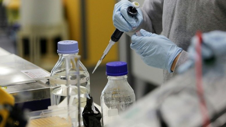 Peste chegou à Europa através de estepes euroasiáticas há 5 mil anos