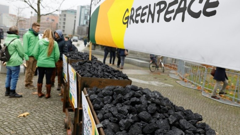 Brasil exporta madeira 'manchada por homicídios' (Greenpeace)