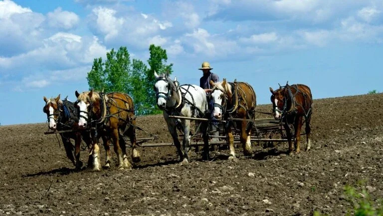 Mutação genética dos Amish prolonga sua vida em dez anos (estudo)