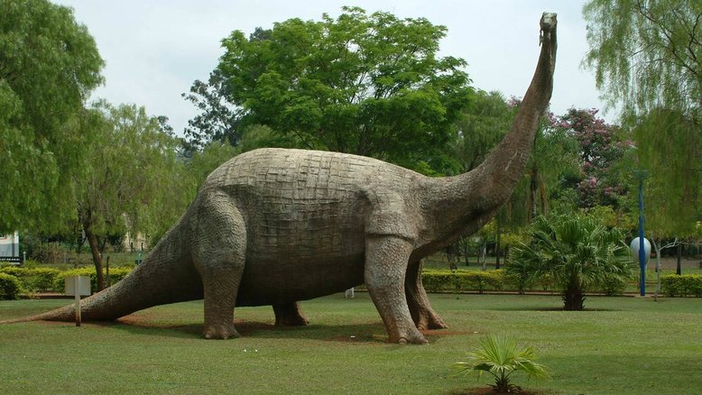 Morador acha parte de osso de dinossauro durante obra no interior de SP