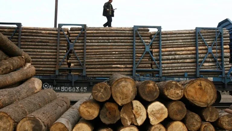EUA conclui que Canadá vende madeira com dumping