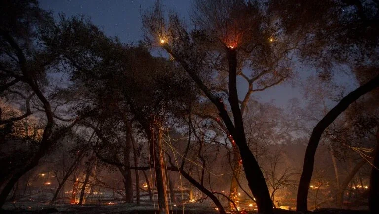 Ventos diminuem na Califórnia mas incêndios ainda ameaçam o estado