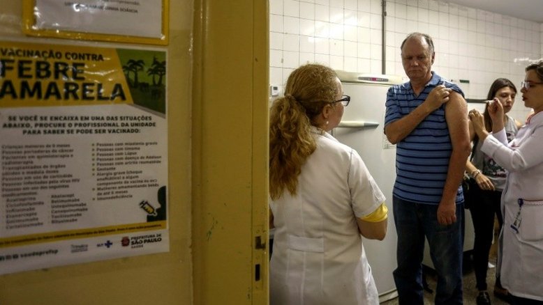 Governo de São Paulo reconhece surto de febre amarela
