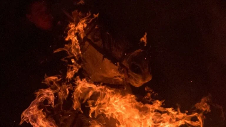 Ritual ancestral usa fogo para purificar cavalos na Espanha