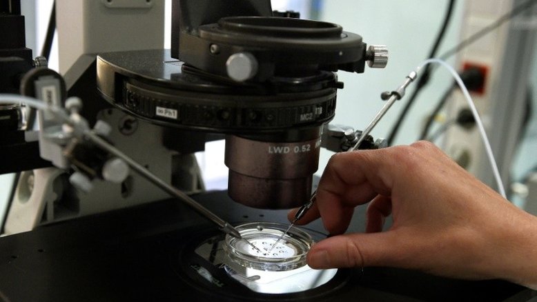 Músculo humano é desenvolvido a partir de células-tronco em laboratório