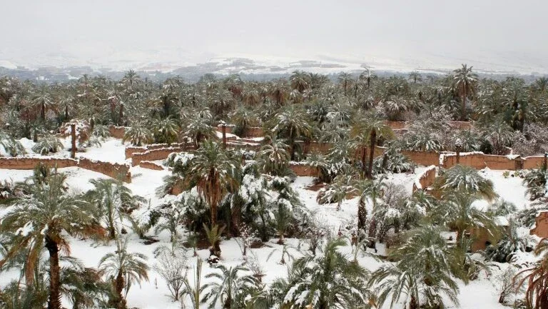 Deserto do Marrocos tem nevascas inesperadas
