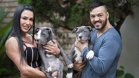 Belo cancela shows após ser 'atacado' por seu próprio cão em casa