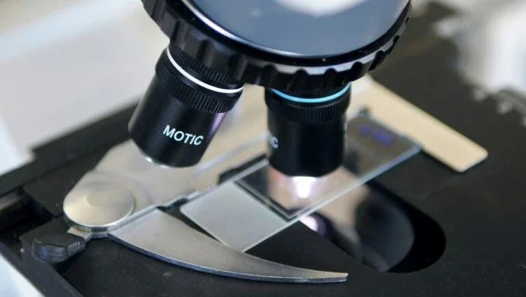 Múmia de criança com evidência antiga de varíola tinha hepatite B