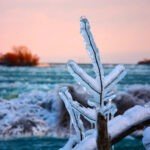 Fotos registram toda a beleza congelante das Cataratas do Niágara no inverno