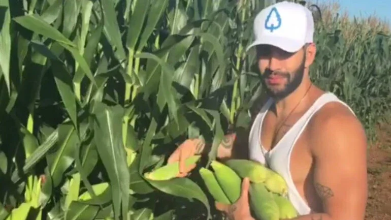 Cantor Gusttavo Lima publica vídeo "roubando"milho em estrada