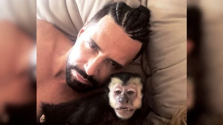 Macaco de Latino morre atropelado em condomínio