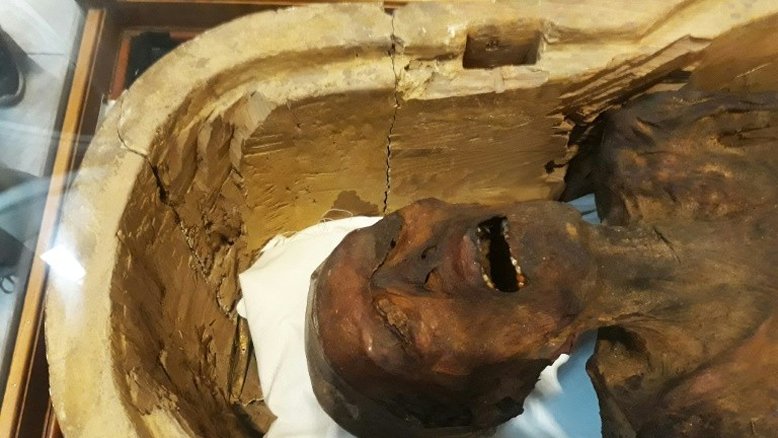 Museu Egípcio do Cairo exibe 'múmia que grita'