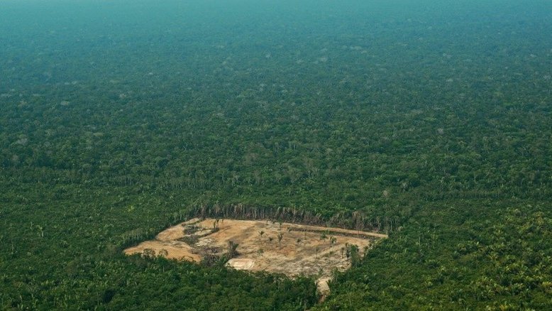Importadores de madeira de EUA e Europa alimentam destruição da Amazônia, denuncia Greenpeace