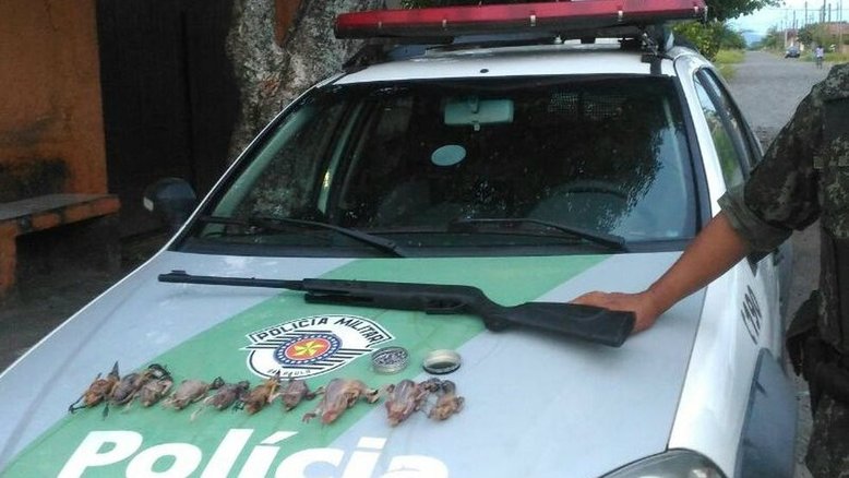 Divulgação/Polícia Militar Ambiental