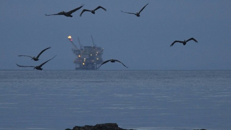 Futuras perfurações offshore ameaçam economia dos EUA, diz ONG