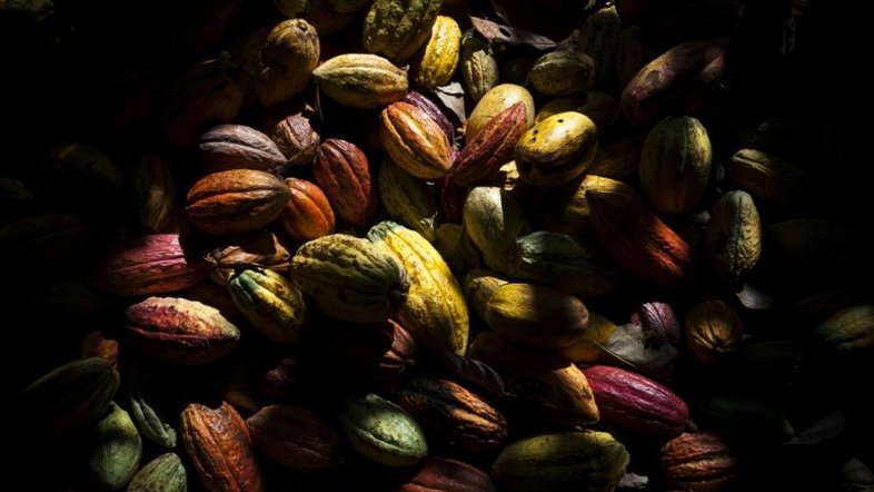 Déficit de produção agrícola venezuelana atinge 75%, diz sindicato