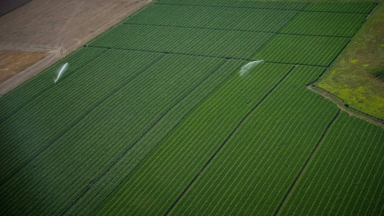 Agroecologia é essencial para futuro da humanidade, garante FAO