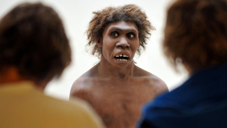 Nariz grande dos neandertais ajudava a sobreviver ao frio