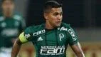 Cesar Greco/Agência Palmeiras