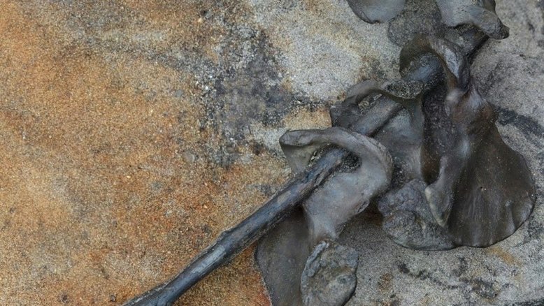 Ossos achados na Dinamarca revelam cena de batalha violenta há 2.000 anos